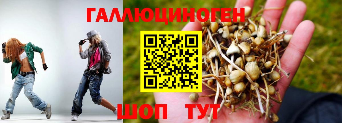 Ногинск  Псилоцибиновые грибы MAGIC MUSHROOMS  Псилоцибиновые грибы мицелий  Вход с VPN 